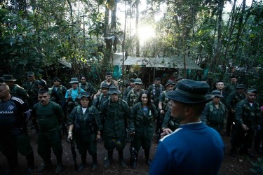 farcfarc